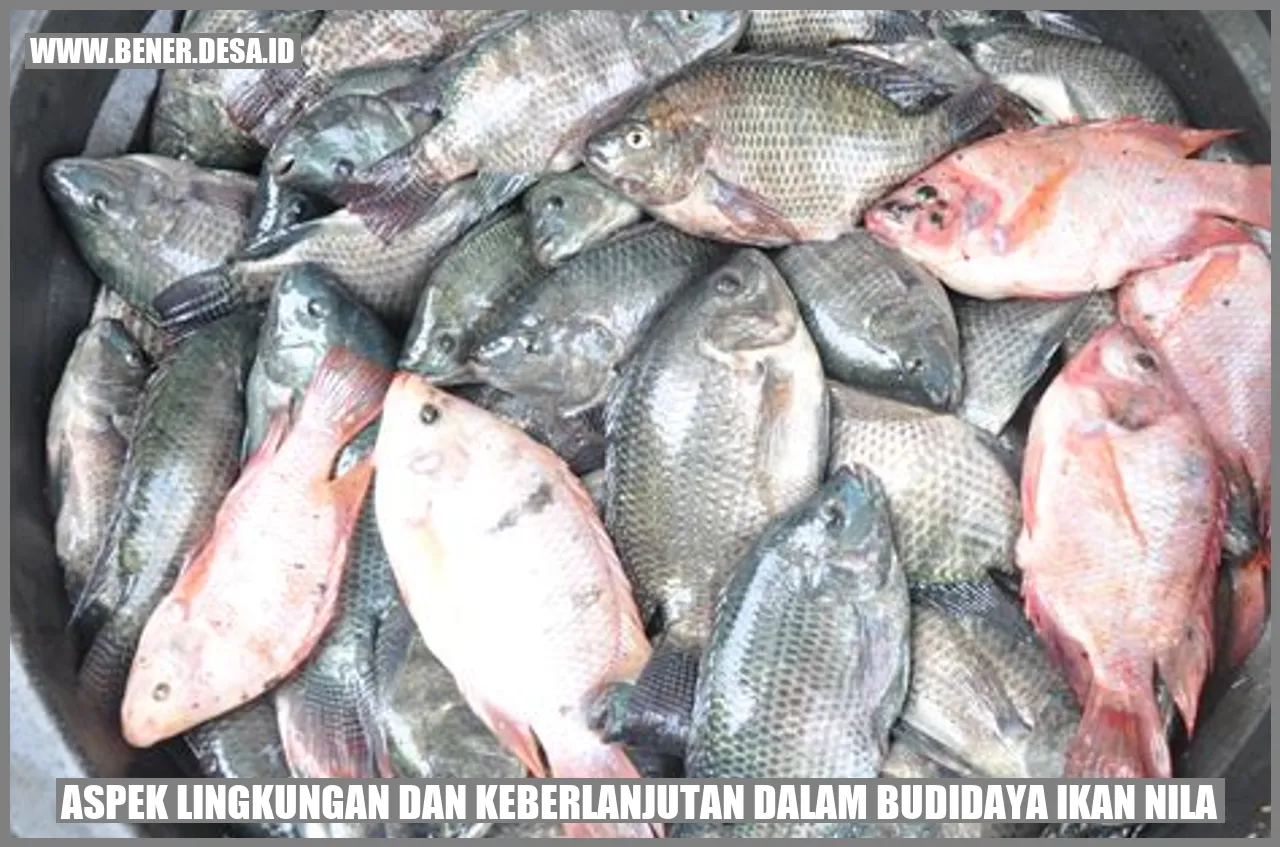 Budidaya Ikan Nila