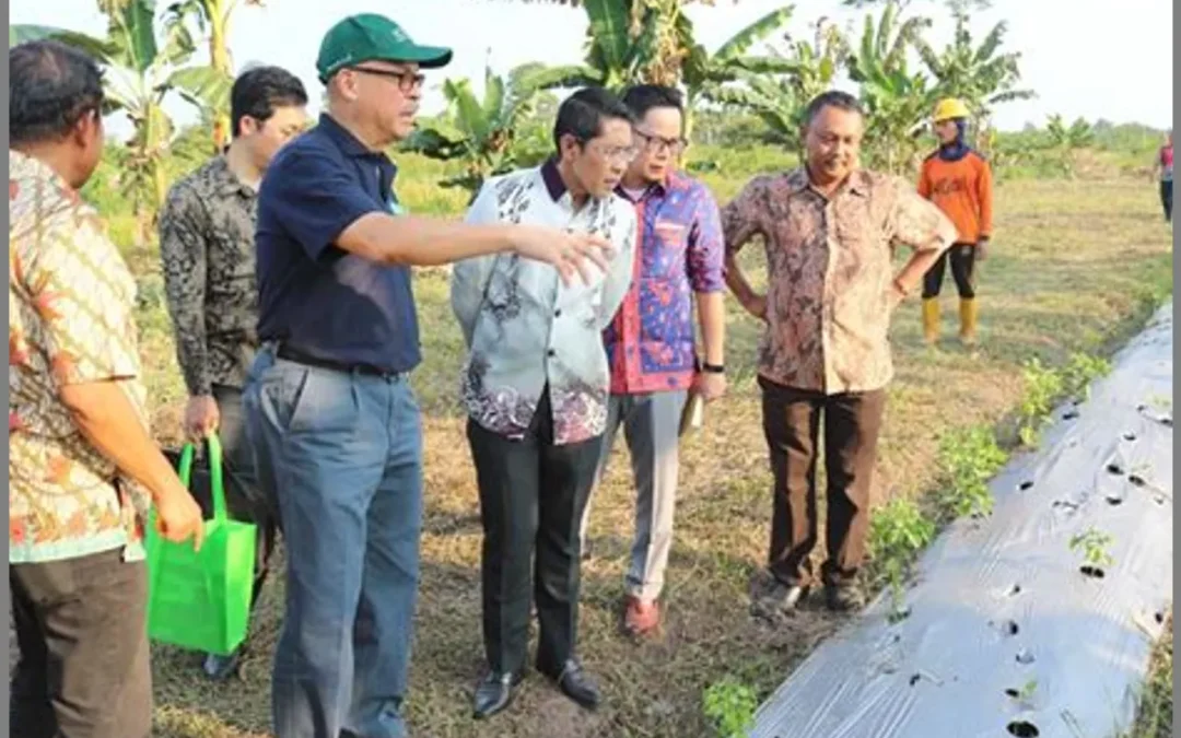 Ini Dia Rahasia Sukses Desa Bener Hadapi Perubahan Iklim!