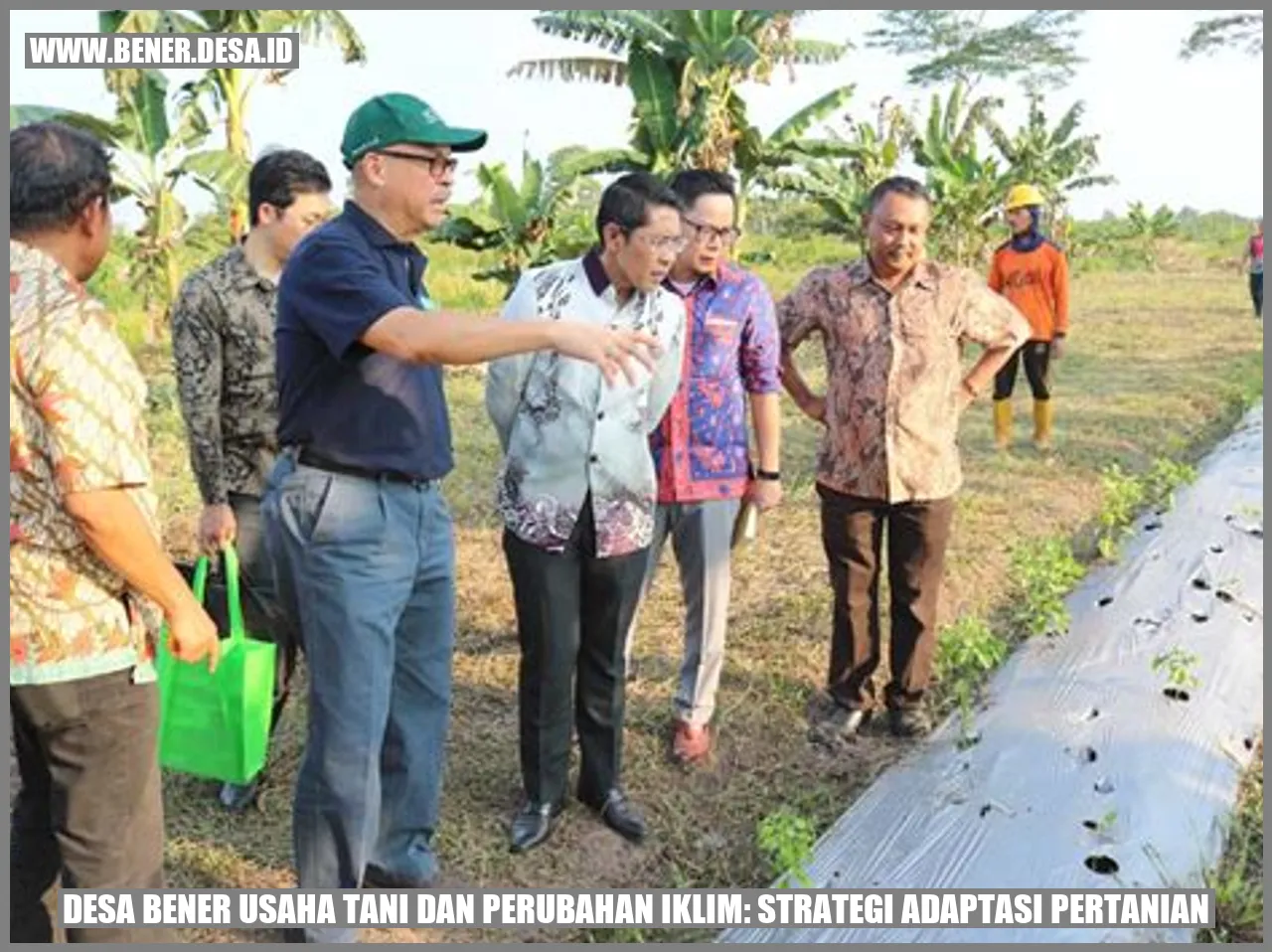 Desa Bener Usaha Tani dan Perubahan Iklim: Strategi Adaptasi Pertanian