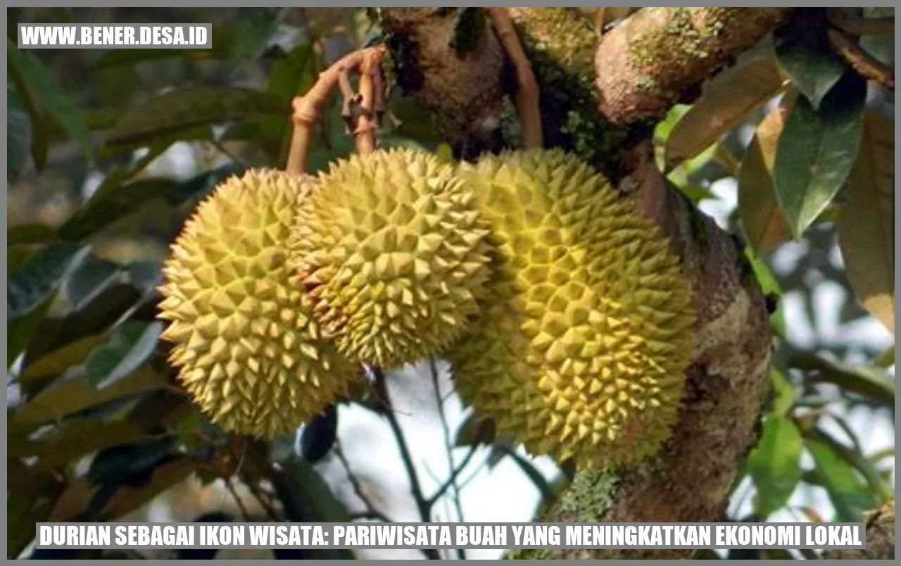 Durian sebagai Ikon Wisata: Pariwisata Buah yang Meningkatkan Ekonomi Lokal