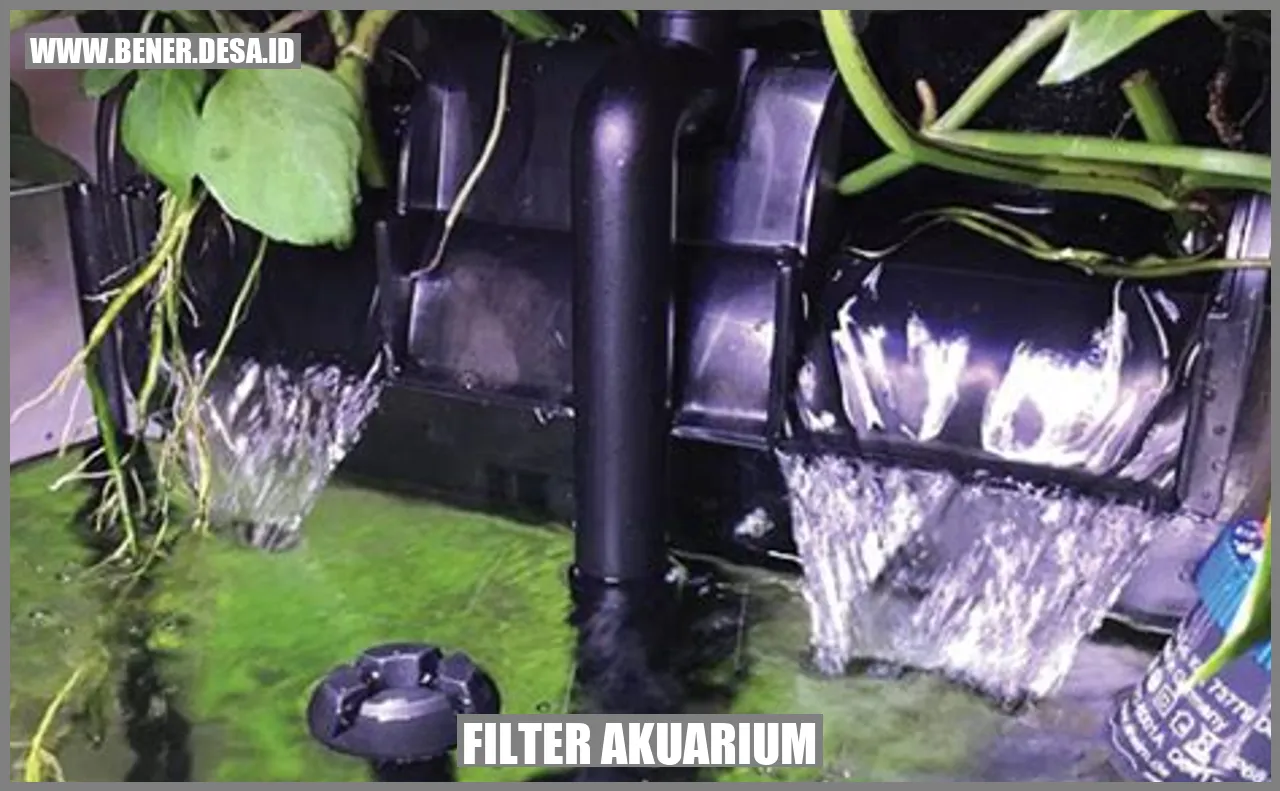 Filter Akuarium