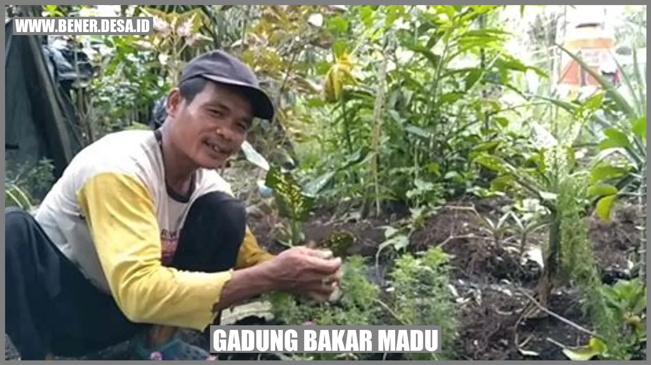 Gadung Bakar Madu