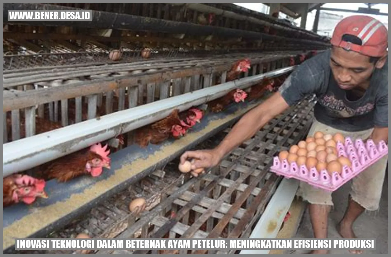 Inovasi Teknologi dalam Beternak Ayam Petelur: Meningkatkan Efisiensi Produksi