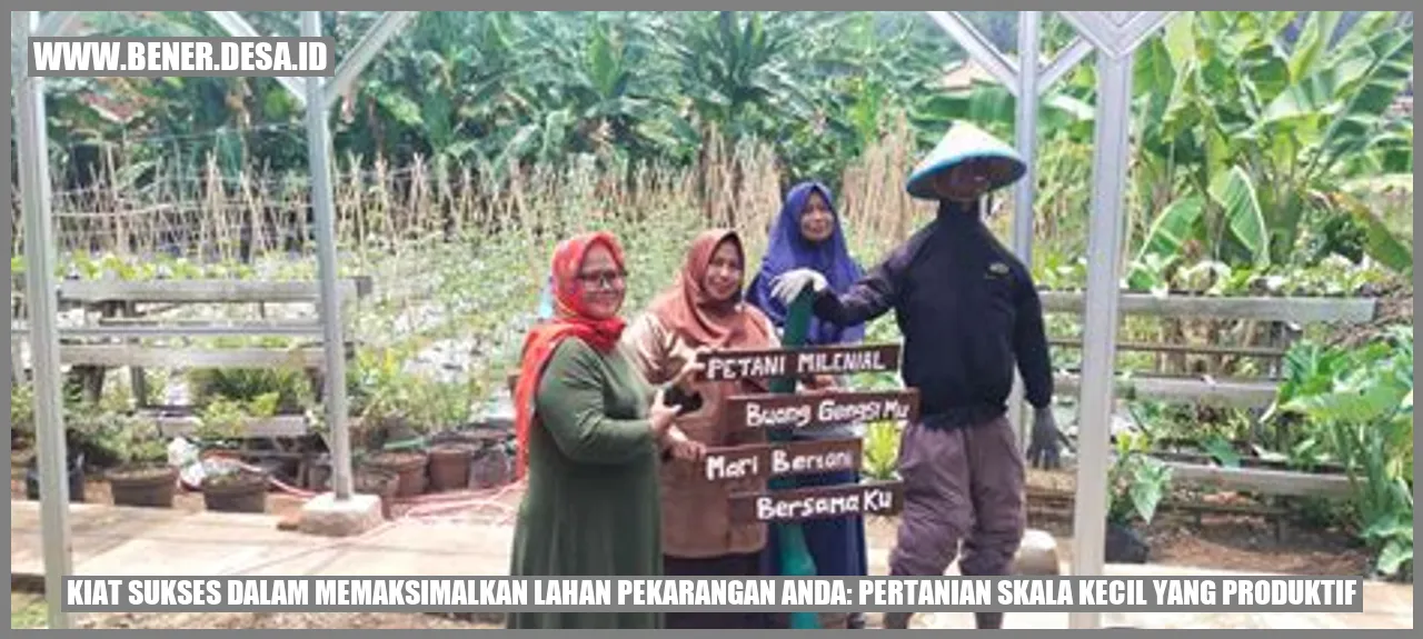Lahan Pertanian