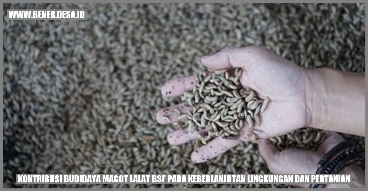 Gambar Keberlanjutan Lingkungan dan Pertanian