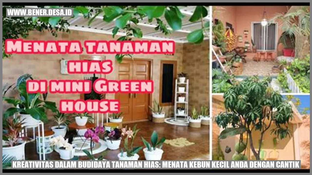 Tumbuhan Cantik di Kebun Kecil