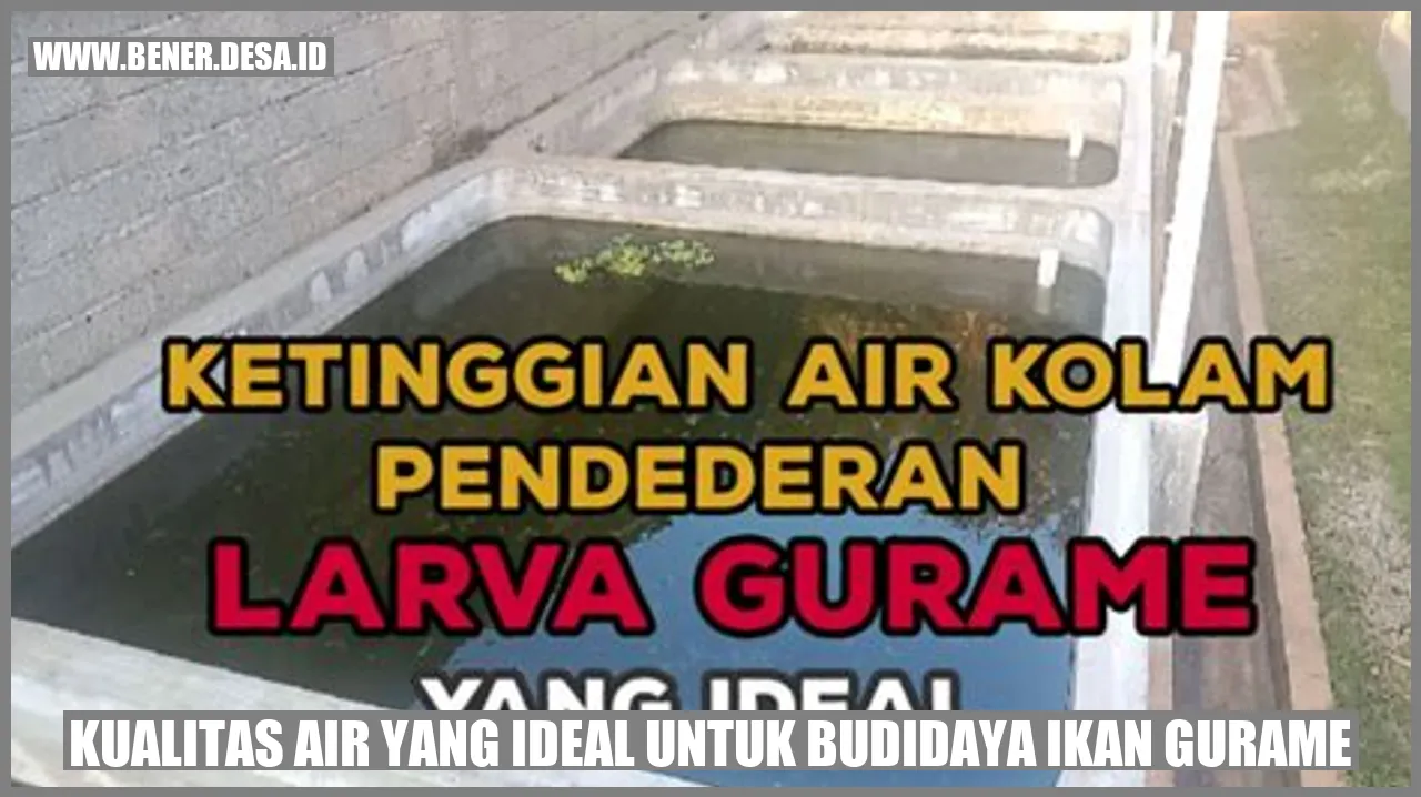 Kualitas Air yang Ideal untuk Budidaya Ikan Gurame