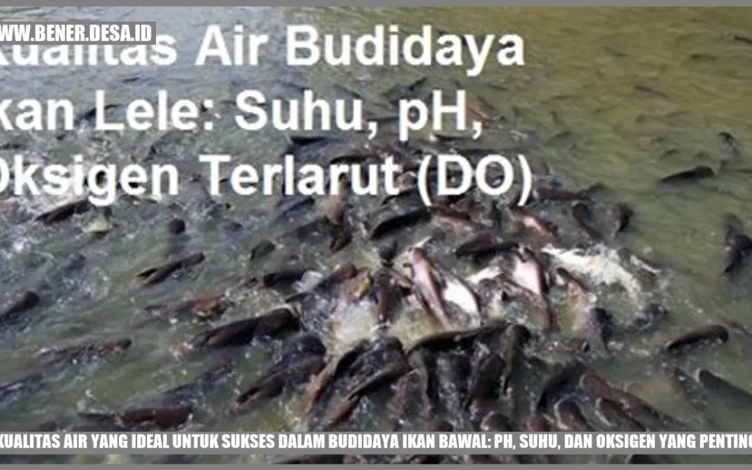 Kualitas Air yang Ideal untuk Sukses dalam Budidaya Ikan Bawal: pH, Suhu, dan Oksigen yang Penting