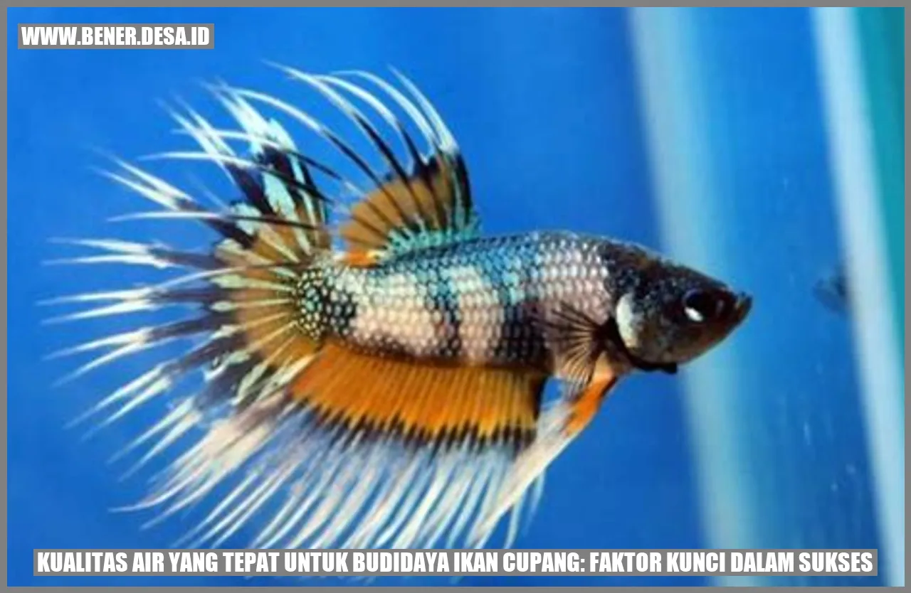 Kualitas Air yang Tepat untuk Budidaya Ikan Cupang: Faktor Kunci dalam Sukses