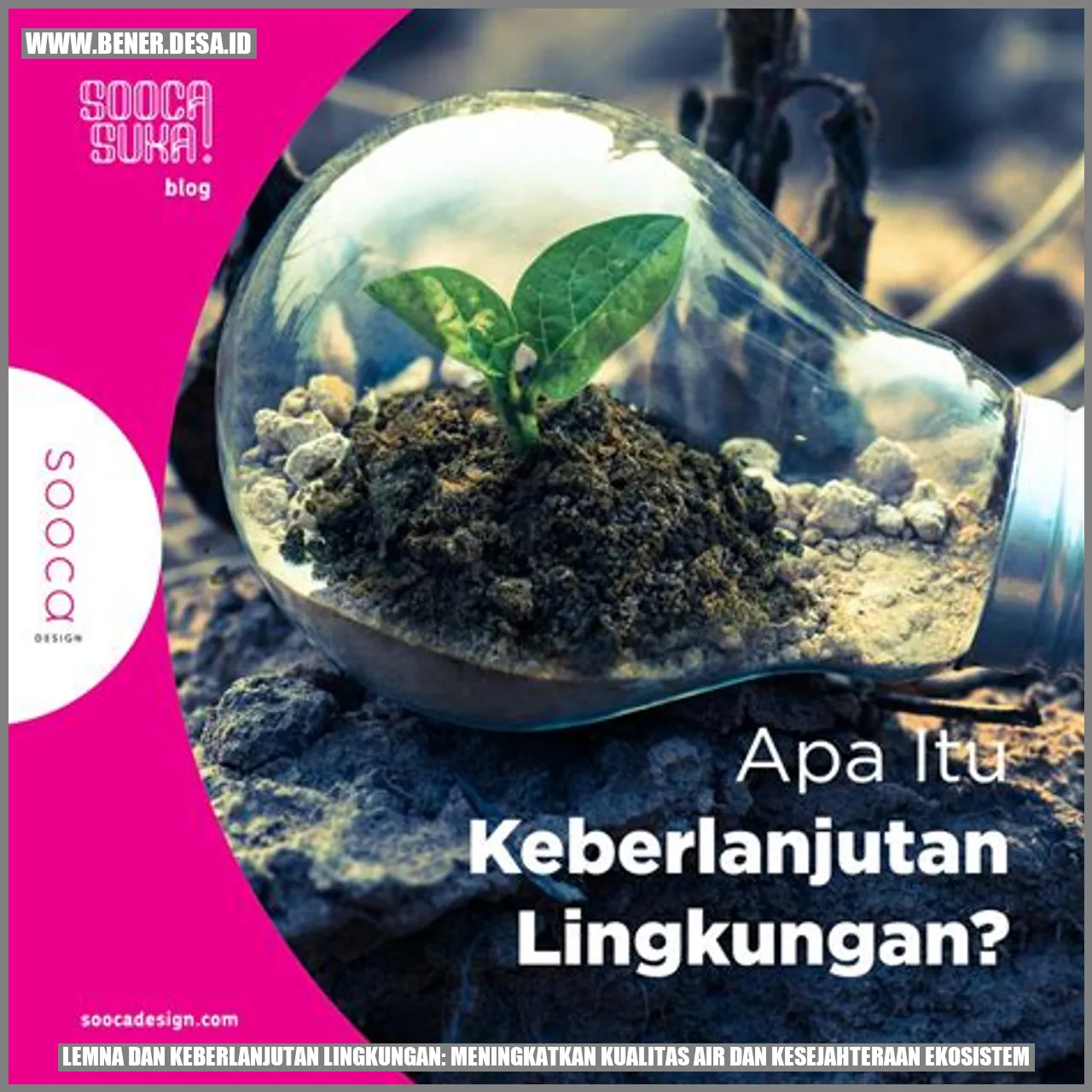Lemna dan Keberlanjutan Lingkungan: Meningkatkan Kualitas Air dan Kesejahteraan Ekosistem
