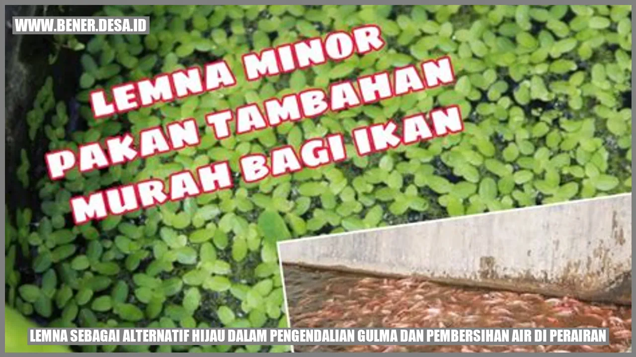 Lemna sebagai Alternatif Hijau dalam Pengendalian Gulma dan Pembersihan Air di Perairan
