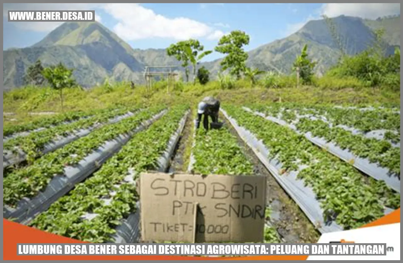Lumbung Desa Bener sebagai Destinasi Agrowisata: Peluang dan Tantangan