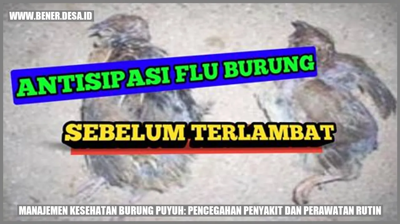 Manajemen Kesehatan Burung Puyuh: Pencegahan Penyakit dan Perawatan Rutin