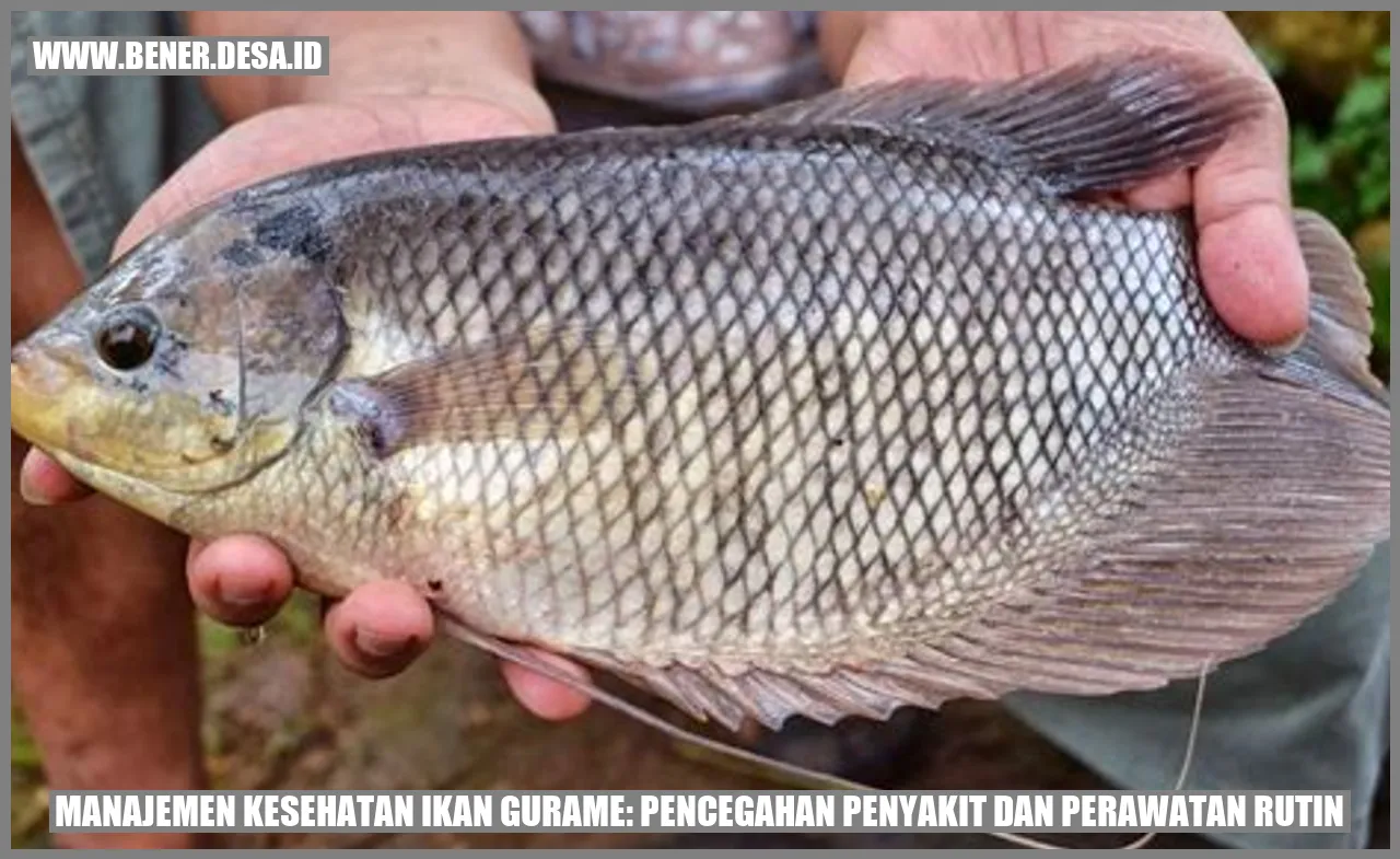 Manajemen Kesehatan Ikan Gurame: Pencegahan Penyakit dan Perawatan Rutin