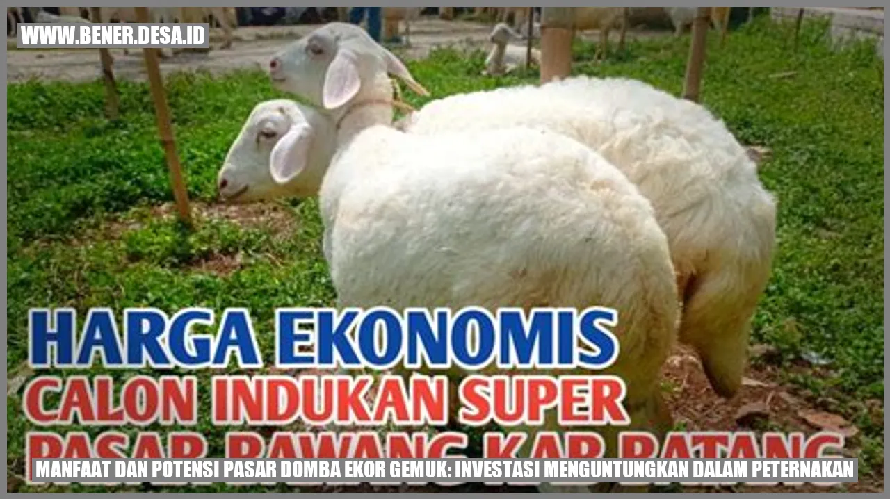 Domba Ekor Gemuk