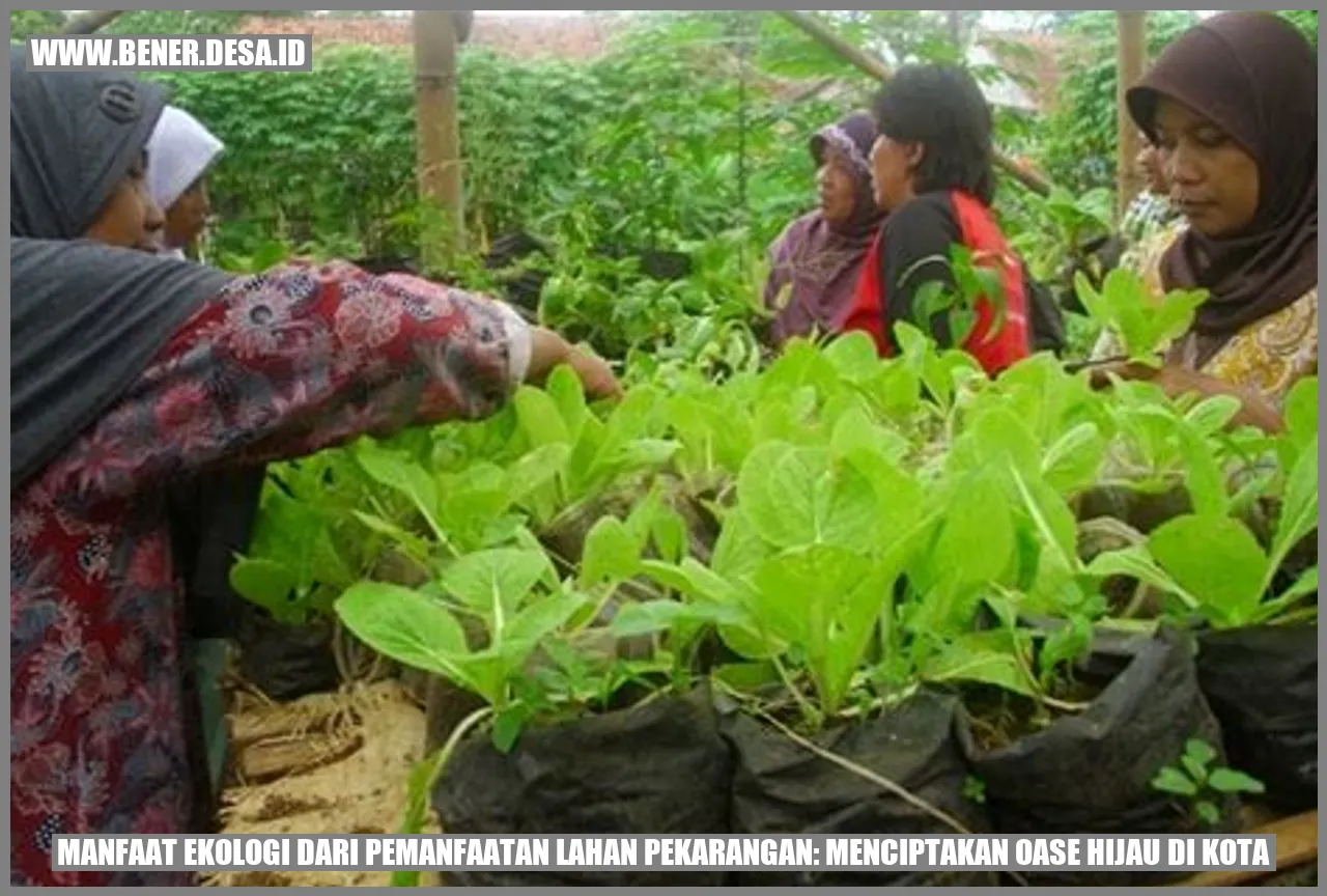 Manfaat Ekologi dari Pemanfaatan Lahan Pekarangan: Menciptakan Oase Hijau di Kota