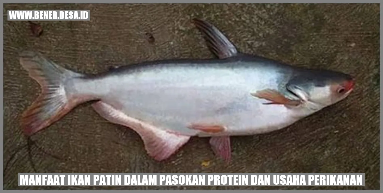 Manfaat Ikan Patin dalam Pasokan Protein dan Usaha Perikanan
