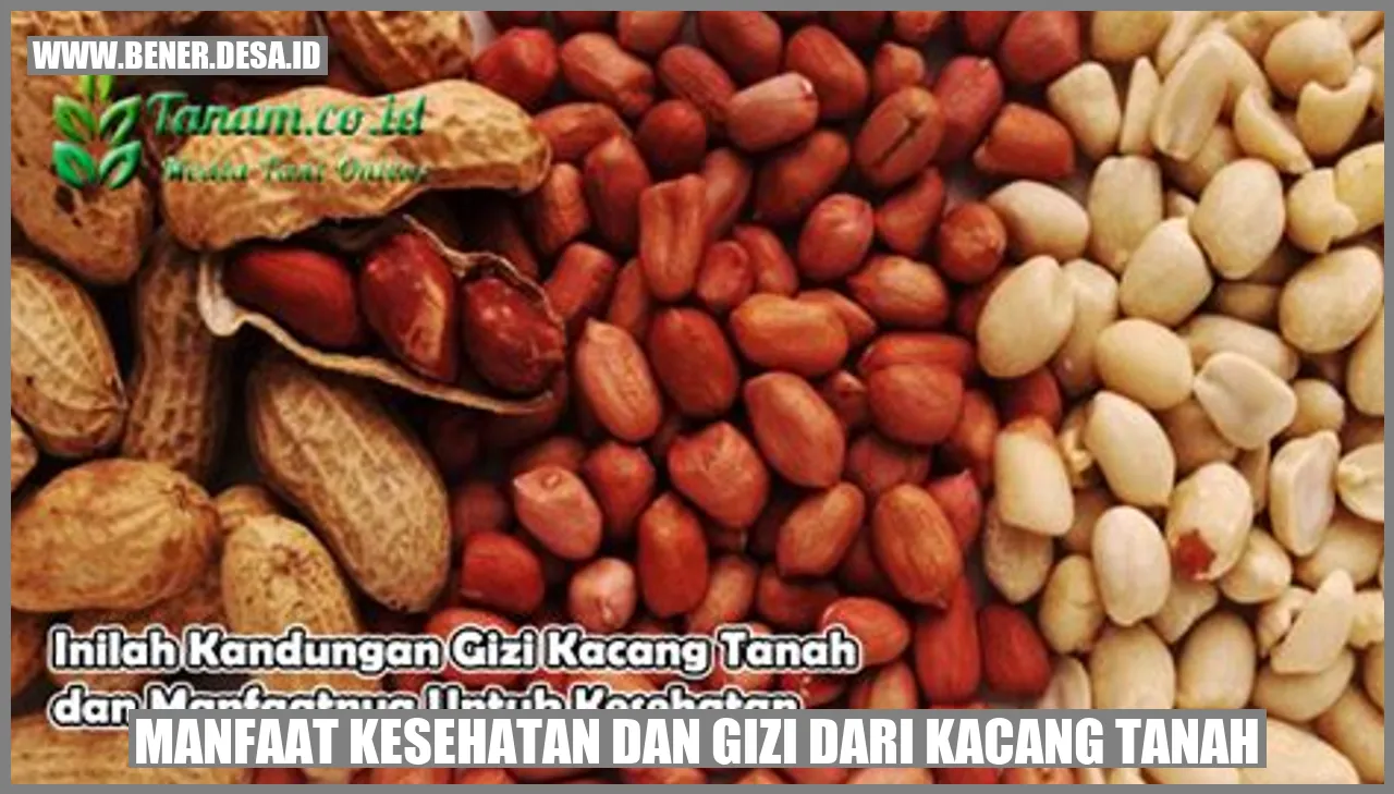Manfaat Kesehatan dan Gizi dari Kacang Tanah