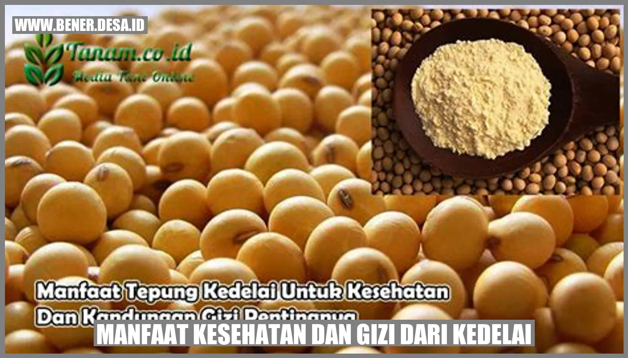 Manfaat Kesehatan dan Gizi dari Kedelai