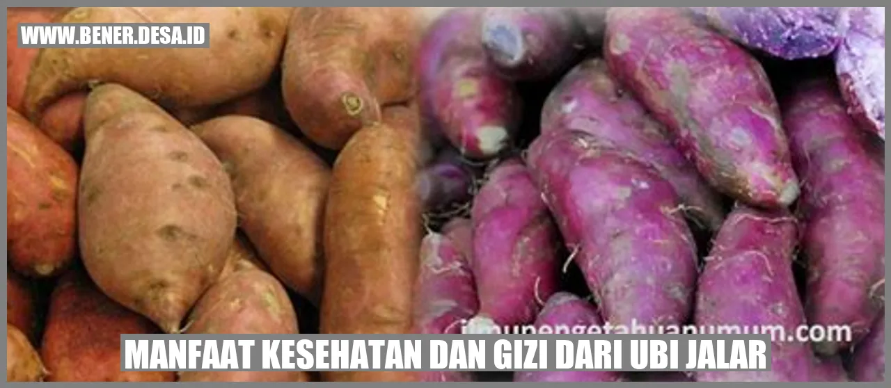 Manfaat Kesehatan dan Gizi dari Ubi Jalar