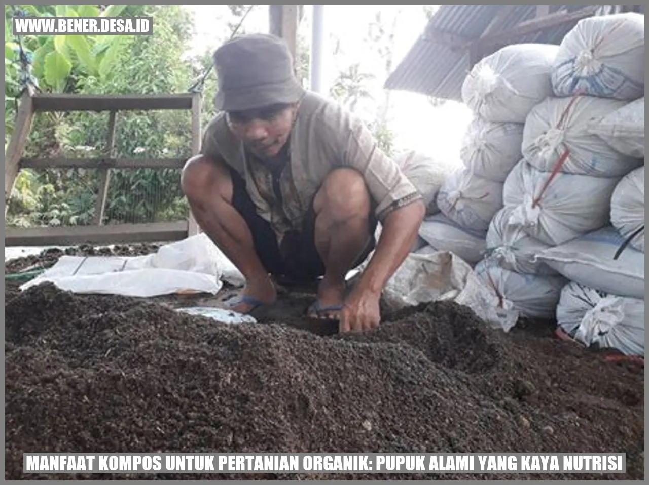 Manfaat Kompos untuk Pertanian Organik: Pupuk Alami yang Kaya Nutrisi –  Bener Bener | Kab. Cilacap