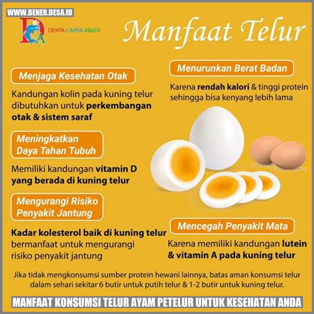 Manfaat Konsumsi Telur Ayam Petelur untuk Kesehatan Anda
