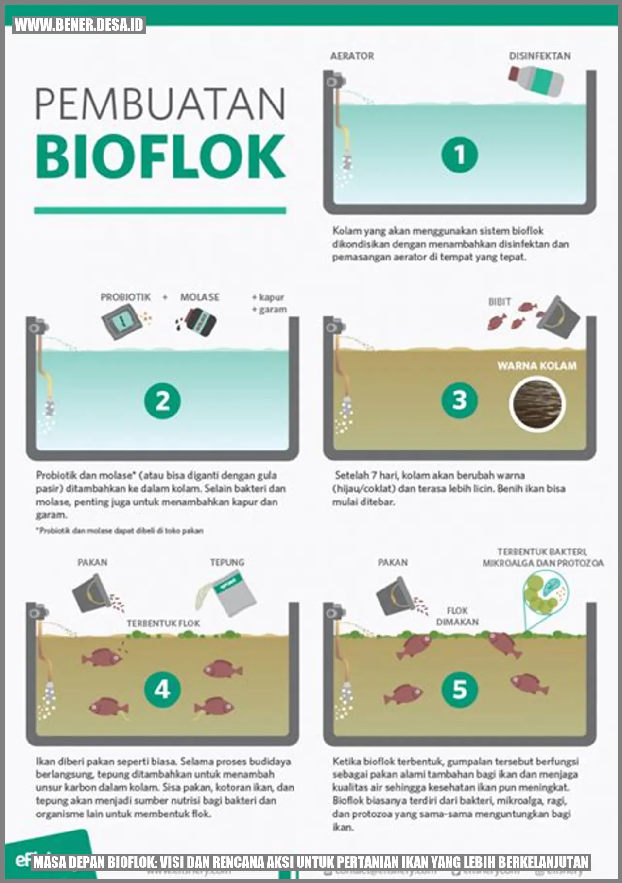 Masa Depan Bioflok: Visi dan Rencana Aksi untuk Pertanian Ikan yang Lebih Berkelanjutan