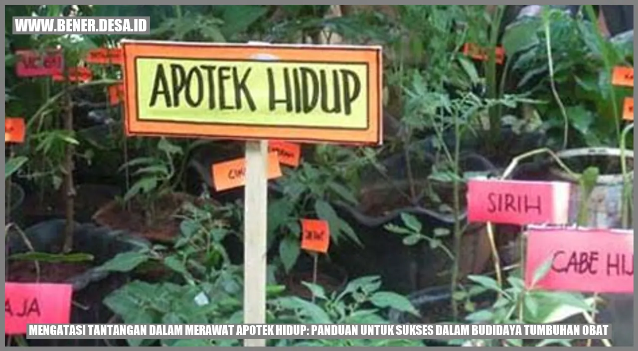 Apotek Hidup