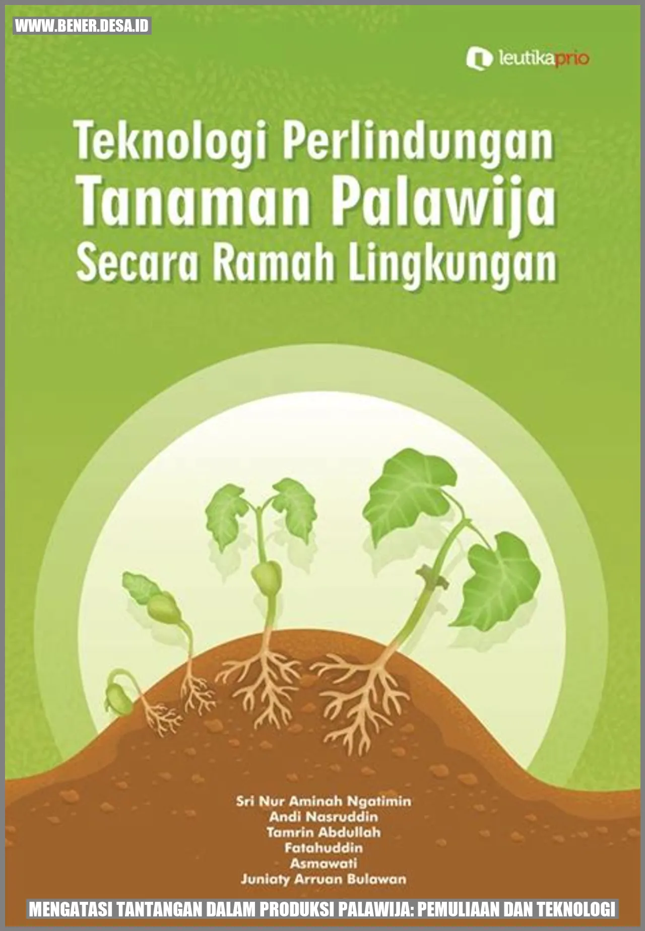 Gambar palawija
