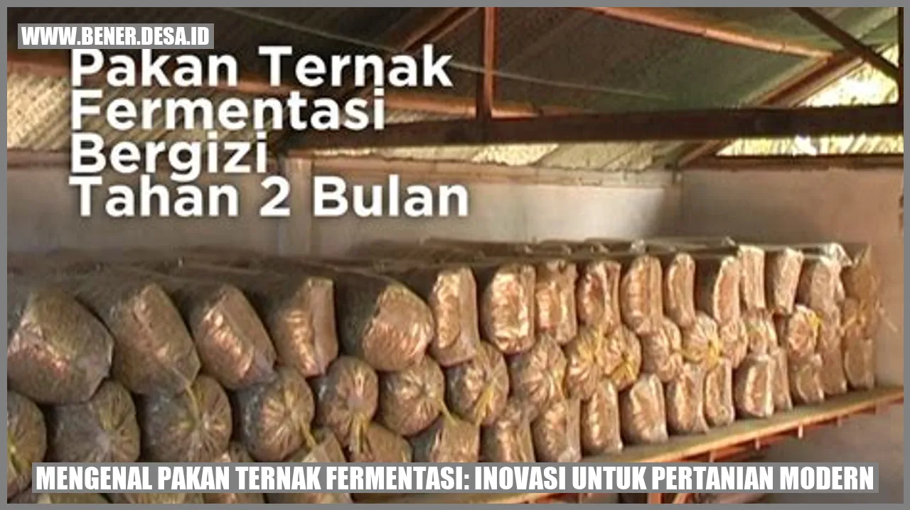 Pakan Ternak Fermentasi