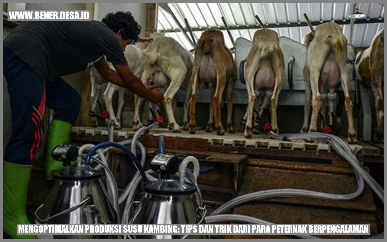 Kambing Betina