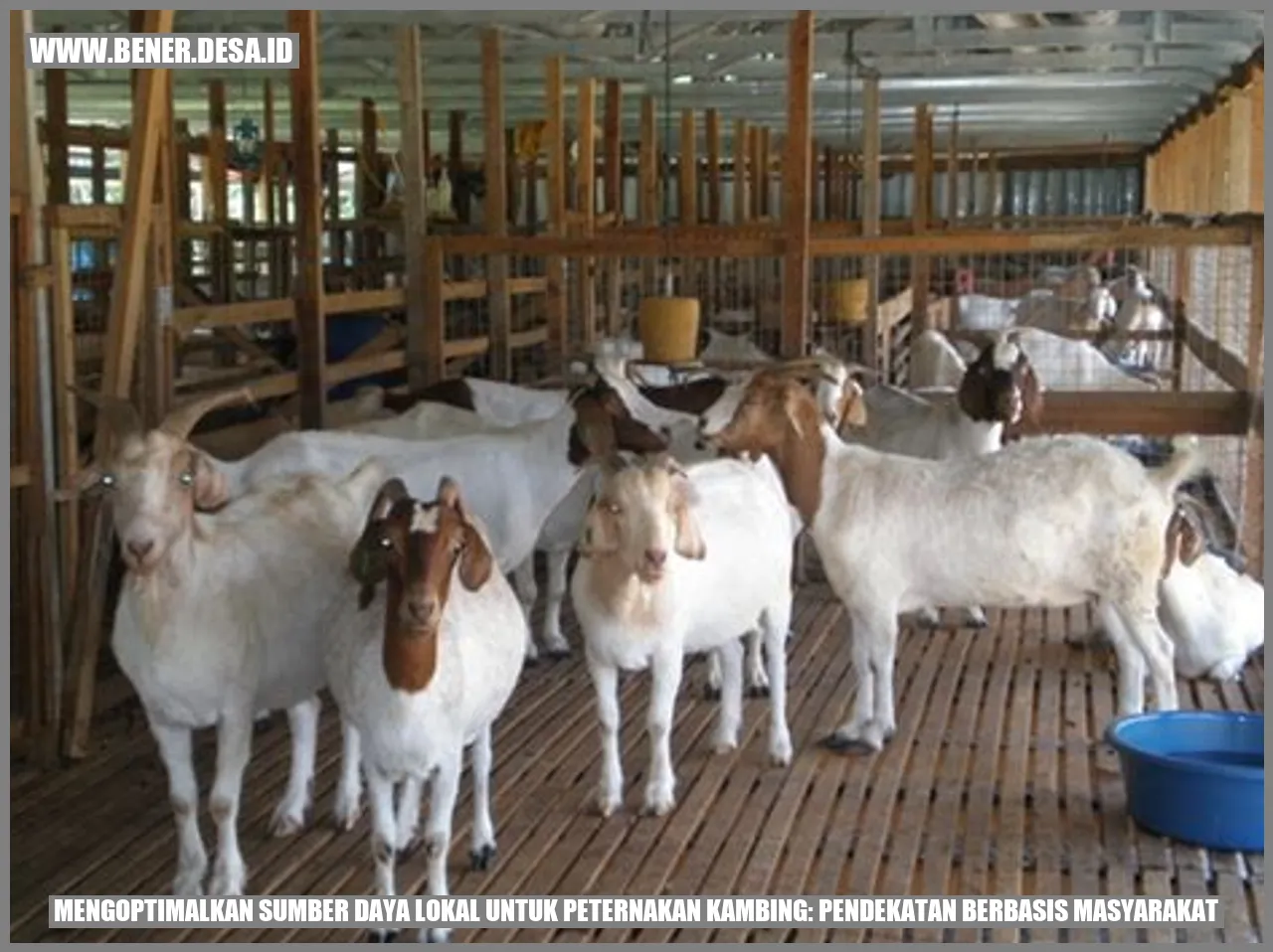 Gambar Pendidikan dan Pelatihan Peternak Kambing
