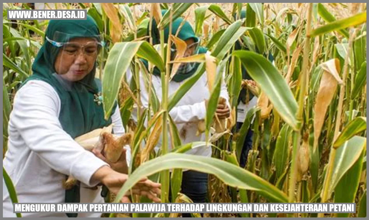 Mengukur Dampak Pertanian Palawija terhadap Lingkungan dan Kesejahteraan Petani