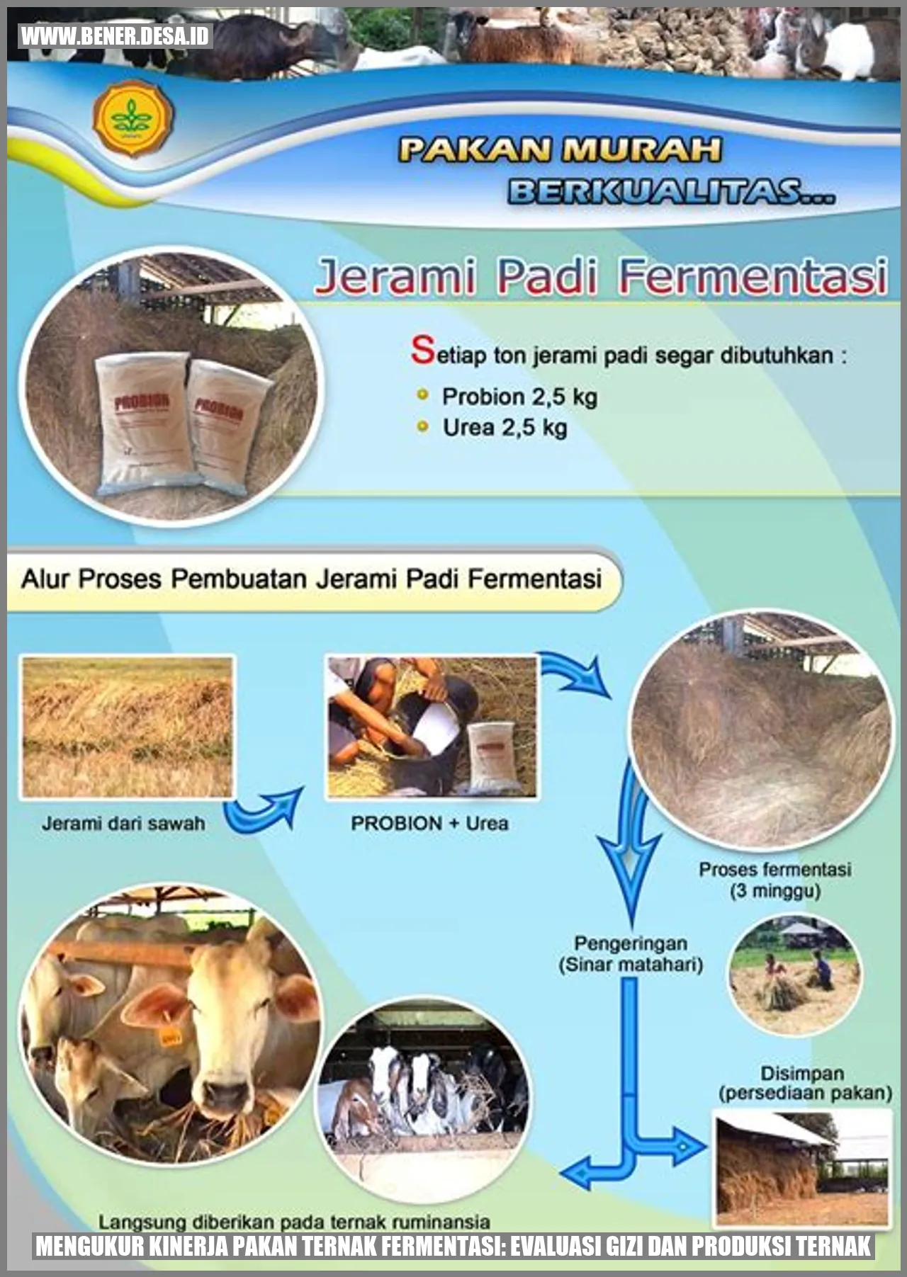 Gambar Pakan Ternak Fermentasi