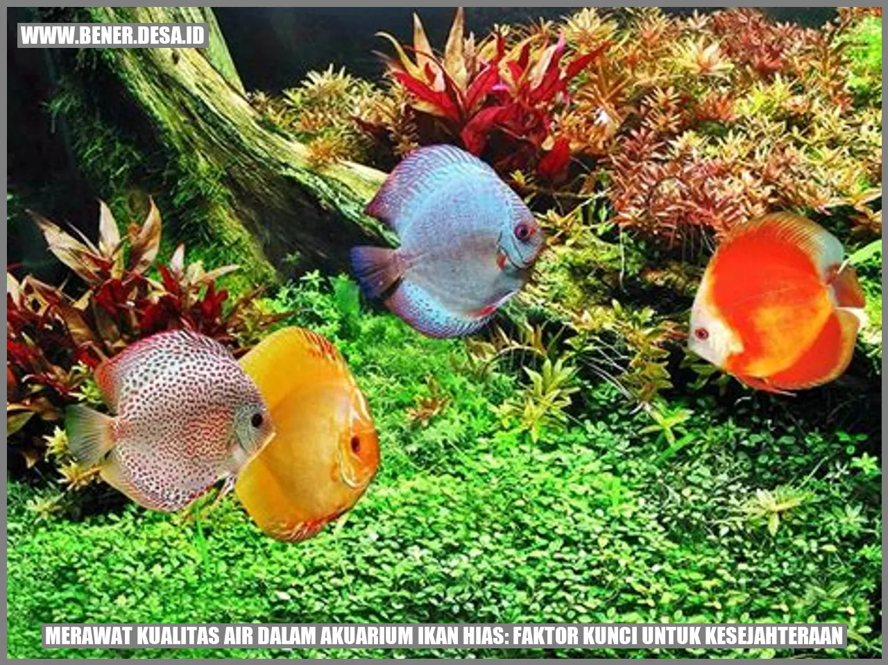 Merawat Kualitas Air dalam Akuarium Ikan Hias: Faktor Kunci untuk Kesejahteraan
