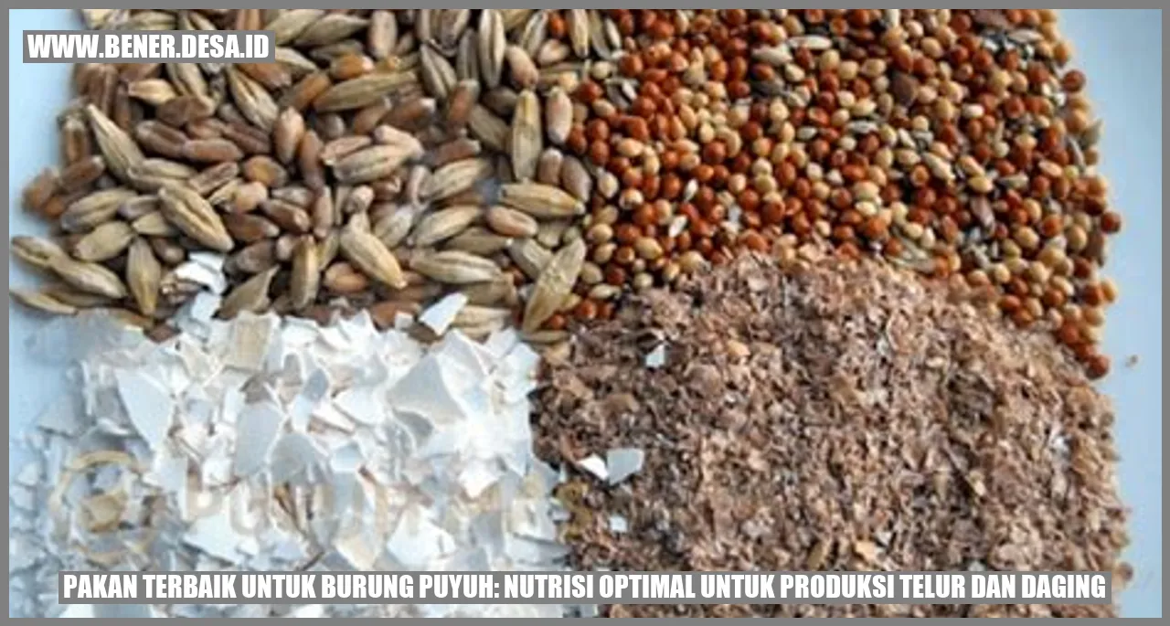 Pakan Terbaik untuk Burung Puyuh: Nutrisi Optimal untuk Produksi Telur dan Daging