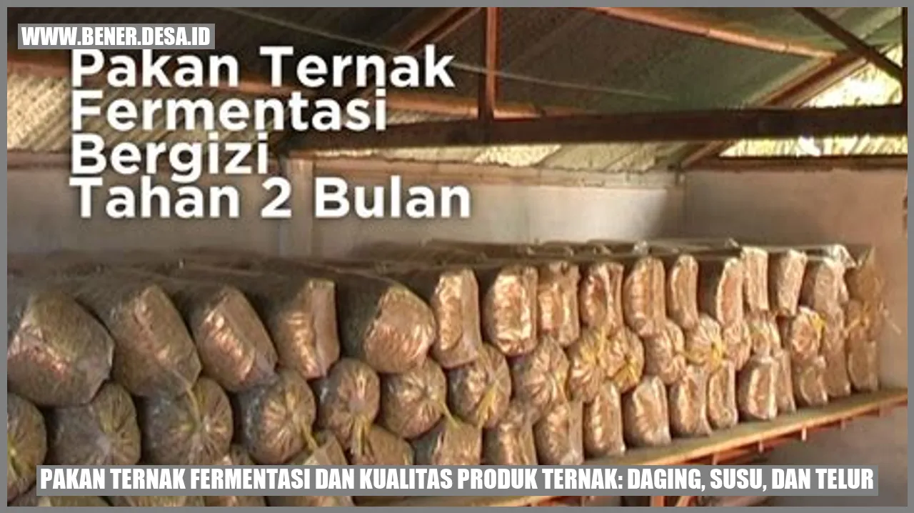 Pakan Ternak Fermentasi dan Kualitas Produk Ternak: Daging, Susu, dan Telur