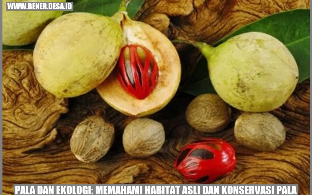 Pala dan Ekologi: Memahami Habitat Asli dan Konservasi Pala