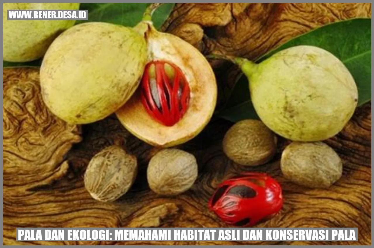 Pala dan Ekologi: Memahami Habitat Asli dan Konservasi Pala