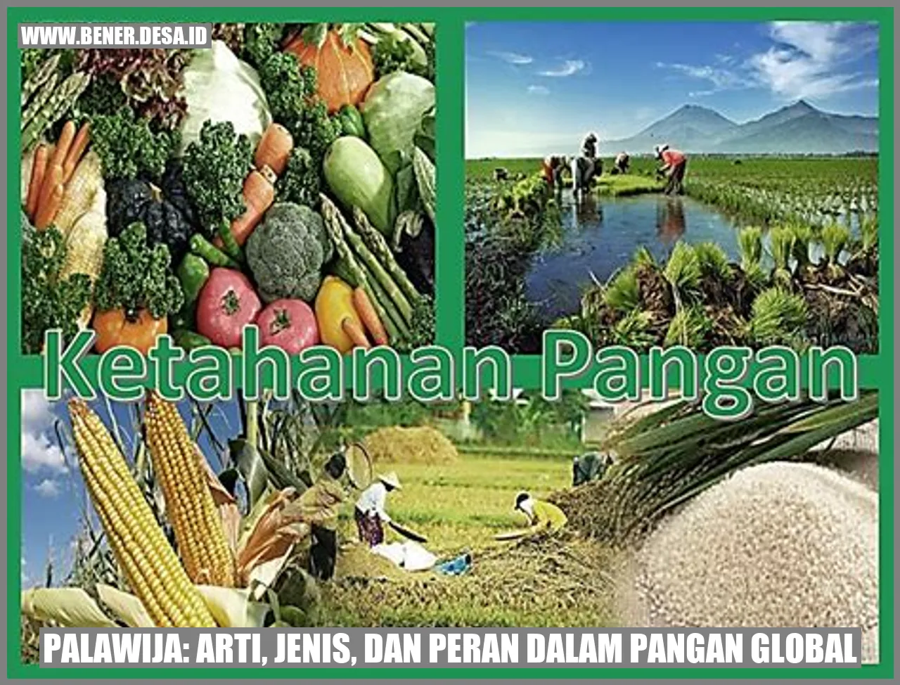 Palawija: Arti, Jenis, dan Peran dalam Pangan Global