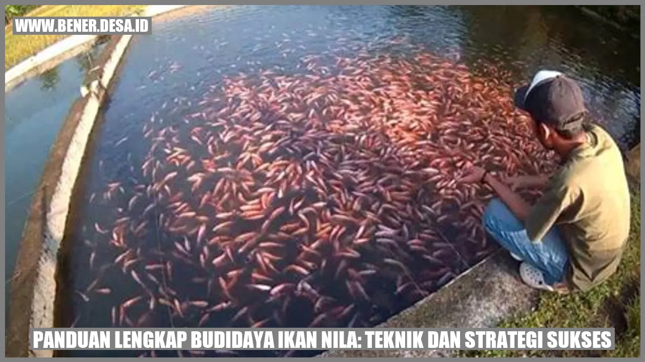 Budidaya Ikan Nila