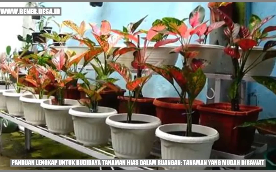 Panduan Lengkap untuk Budidaya Tanaman Hias dalam Ruangan: Tanaman yang Mudah Dirawat
