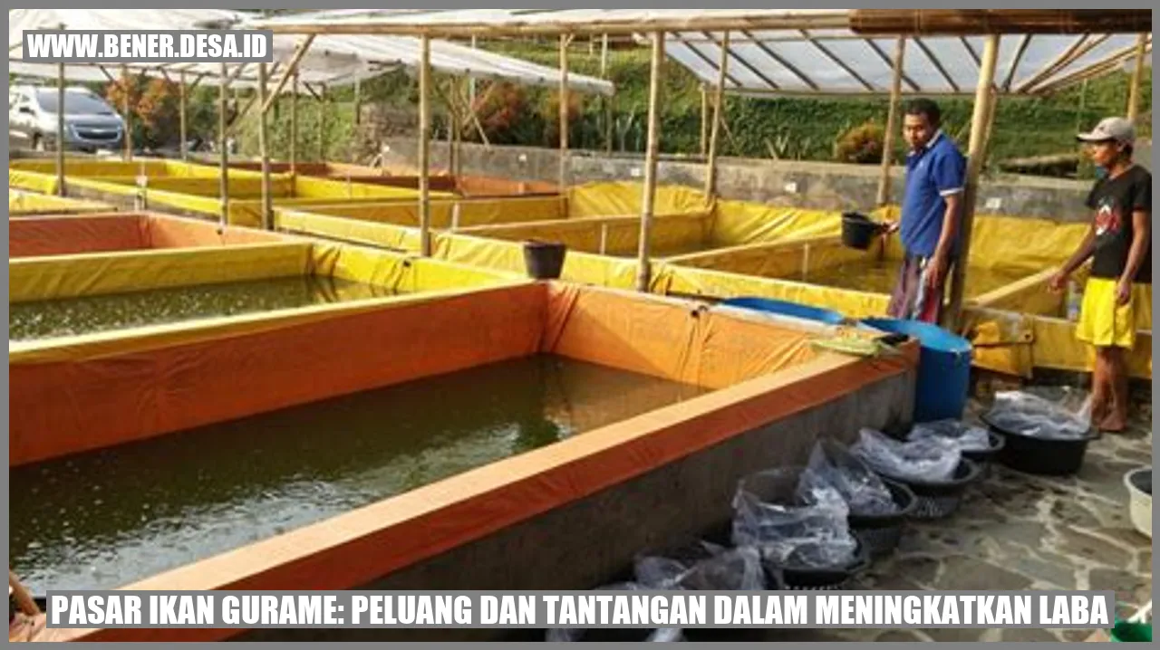 Pasar Ikan Gurame: Peluang dan Tantangan dalam Meningkatkan Laba