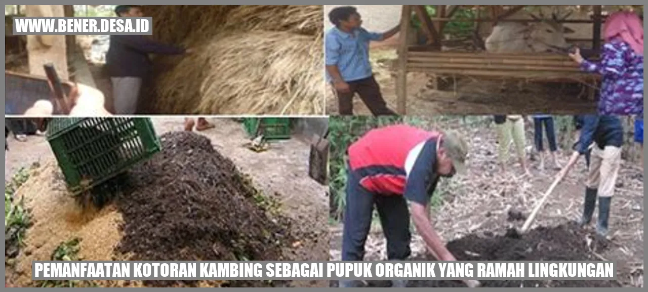 Pemanfaatan Kotoran Kambing sebagai Pupuk Organik yang Ramah Lingkungan