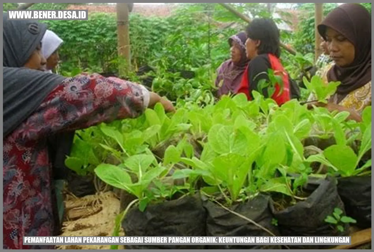 Pemanfaatan Lahan Pekarangan sebagai Sumber Pangan Organik: Keuntungan bagi Kesehatan dan Lingkungan