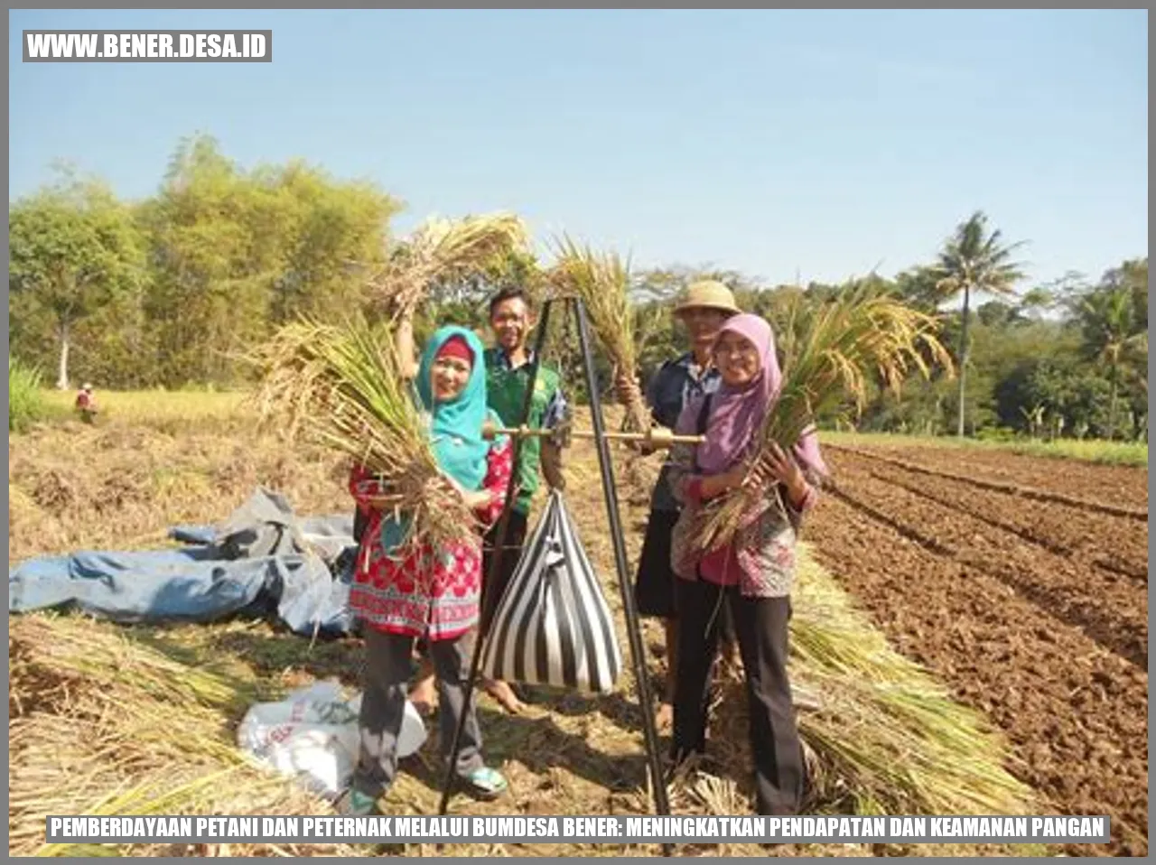 Pemberdayaan Petani dan Peternak melalui BUMDesa Bener: Meningkatkan Pendapatan dan Keamanan Pangan
