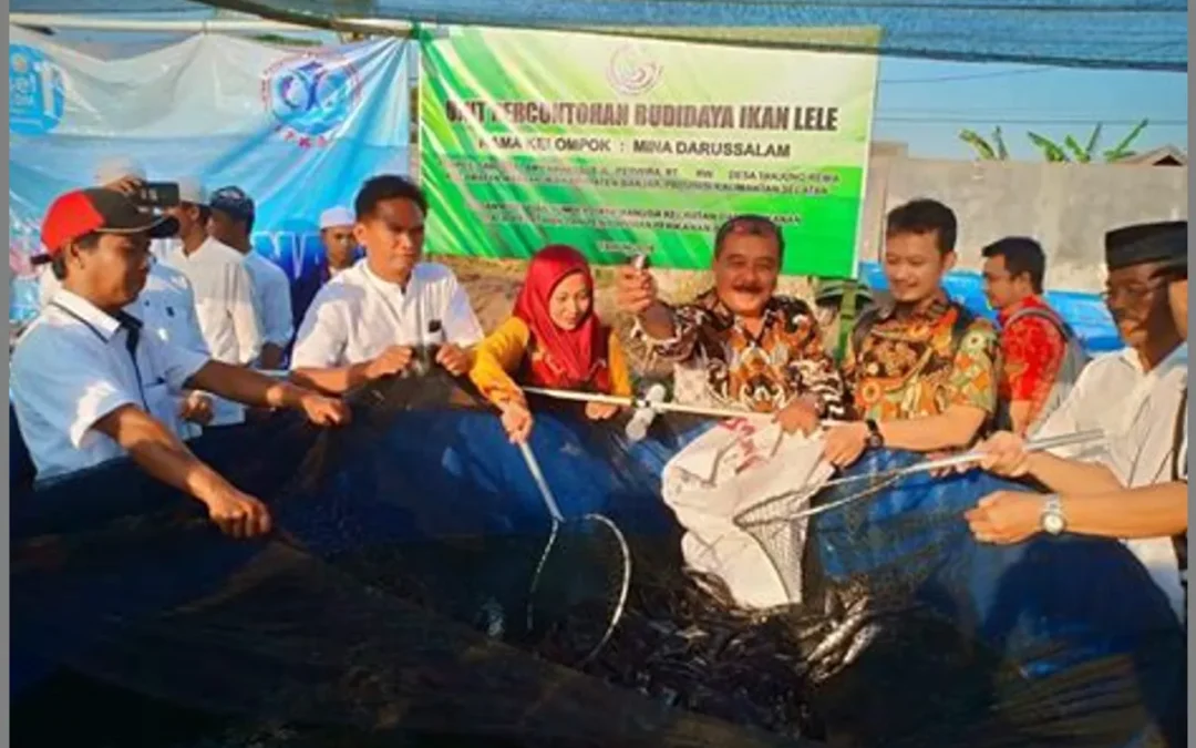Pemberdayaan Petani Melalui Kelompok Budidaya Ikan: Pelatihan dan Dukungan
