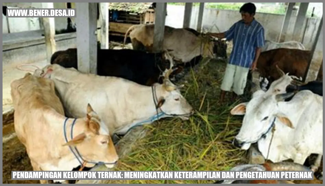 Pendampingan Kelompok Ternak