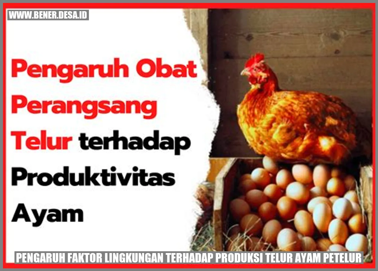 Produksi Telur Ayam Petelur