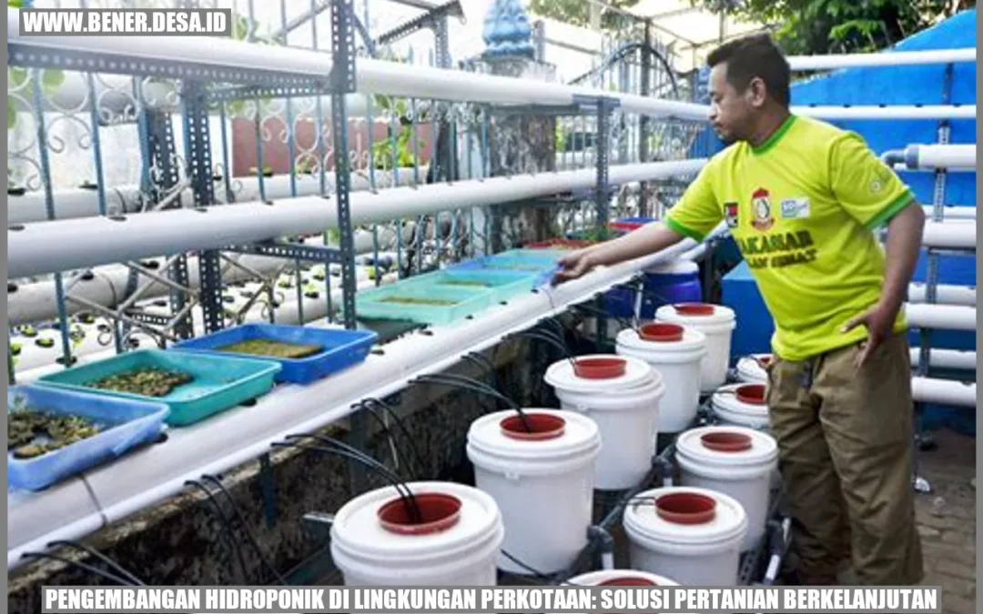 Pengembangan Hidroponik di Lingkungan Perkotaan: Solusi Pertanian Berkelanjutan